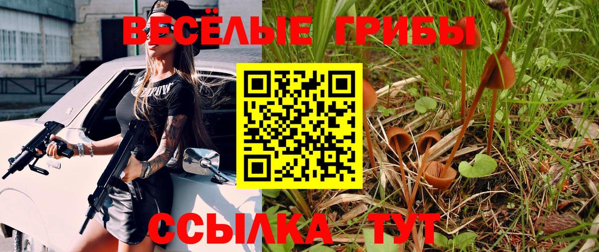 Саки  Псилоцибиновые грибы мицелий  Вход с VPN  Галлюциногенные грибы мицелий 