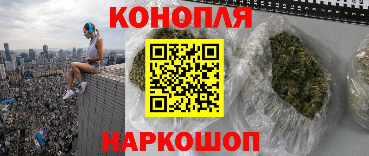 Каннабис ГИДРОПОН Саки